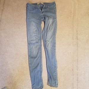 Hollister Jean's 3L